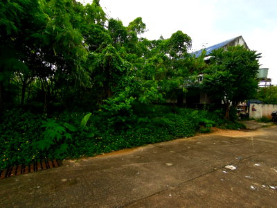 LAND 62.5 Sq.w. Muang Ubon Ratchathani Ubon Ratchathani for 2.5M