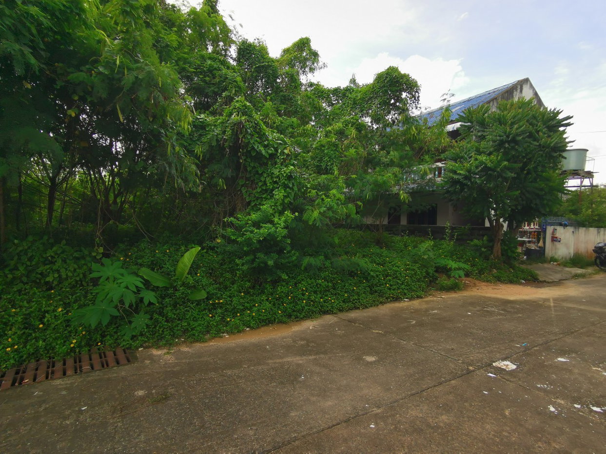 picture LAND 62.5 Sq.w. Muang Ubon Ratchathani Ubon Ratchathani for 2.5M - 1/2