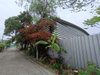listing thumbnail image 7