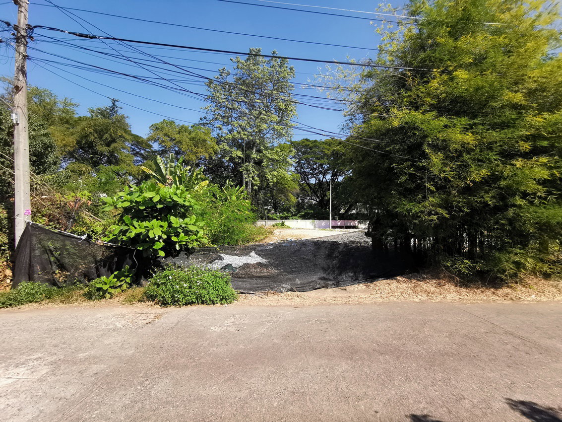 picture LAND 442 Sq.w. Muang Chiang Mai Chiang Mai for 29M - 3/3