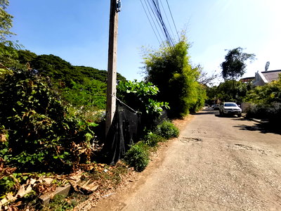 Land for sale Chang Khlan Chiang Mai : LAND 442 Sq.w. Muang Chiang Mai Chiang Mai for 29M