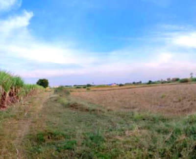 ที่ดิน ราชบุรี : ที่ดินเปล่า 11920 ตร.วา ท่าผา บ้านโป่ง บ้านโป่ง ราชบุรี 16M