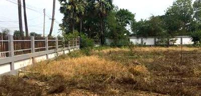 โรงงาน พระนครศรีอยุธยา : โกดัง 2967 ตร.วา ศรีรุ่งเรือง ลาดบัวหลวง ลาดบัวหลวง พระนครศรีอยุธยา 42M