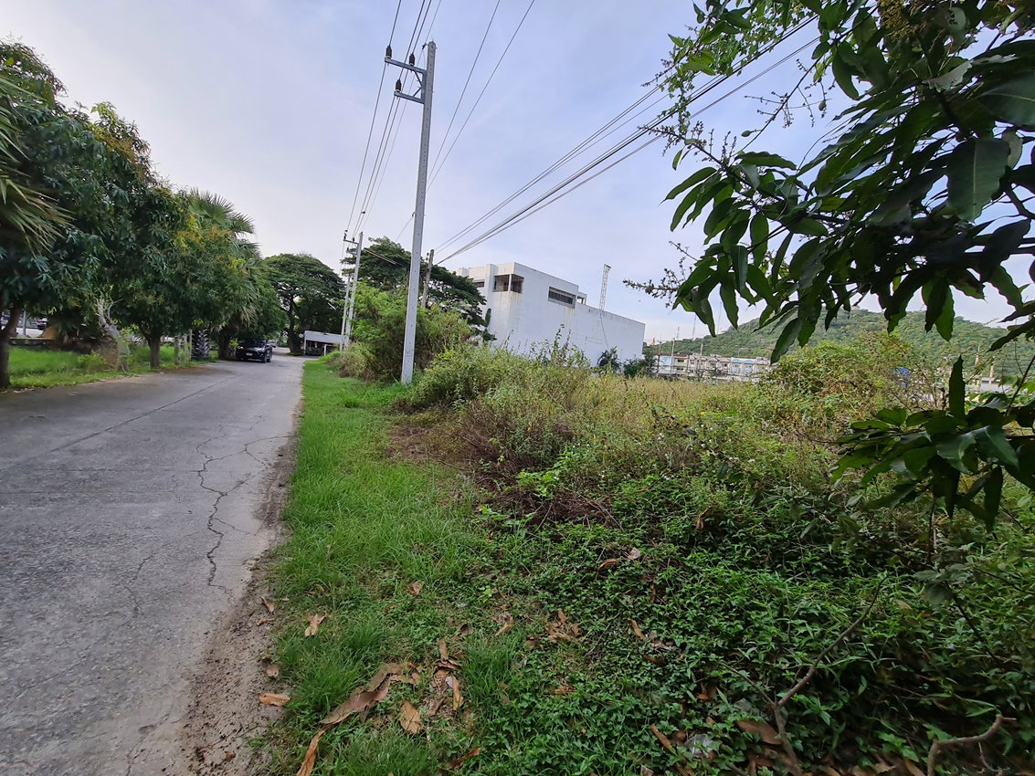 picture LAND 1291 Sq.w. Muang Phetchaburi Petchburi for 48.6M - 4/5
