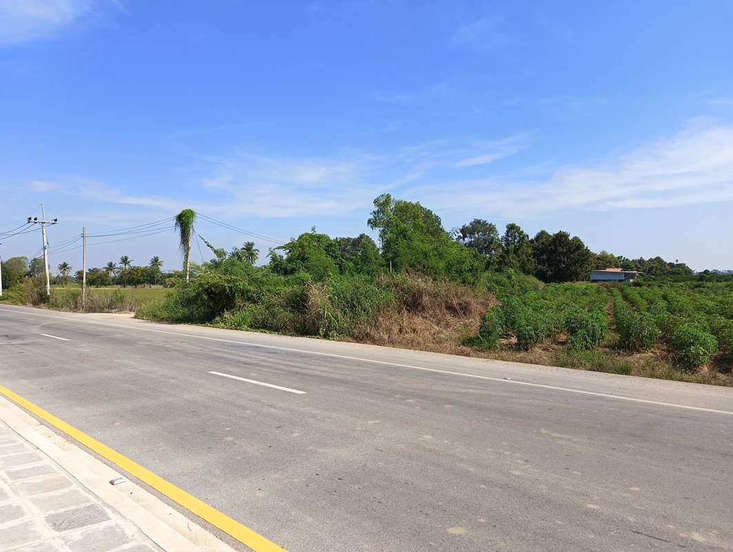 picture LAND 353.6 Sq.w. Bung Samakkhi Kamphaeng Phet for 1.2M - 2/2