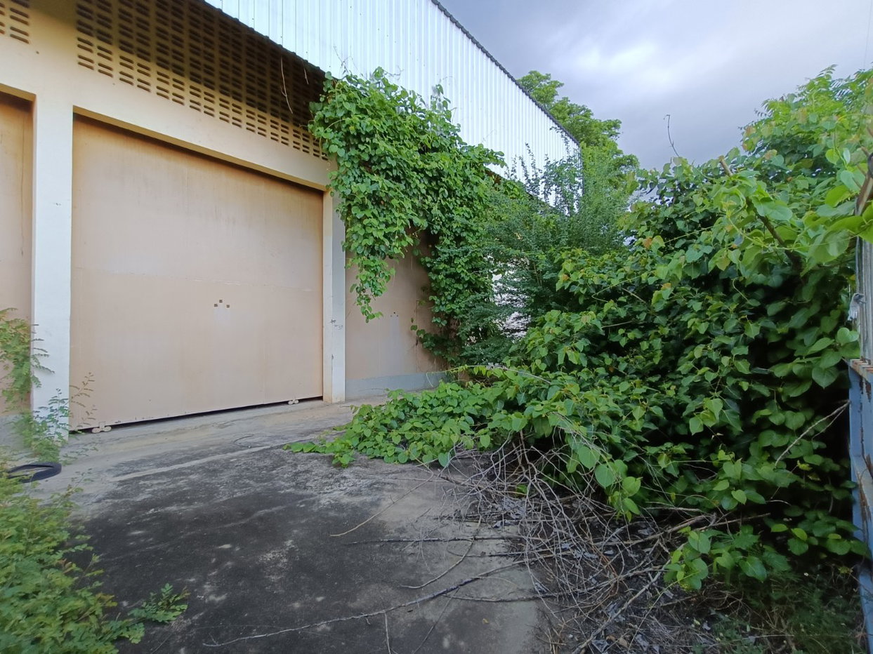 picture FACTORY 248 Sq.w. Bang Mun Nak Phichit for 2.1M - 3/3