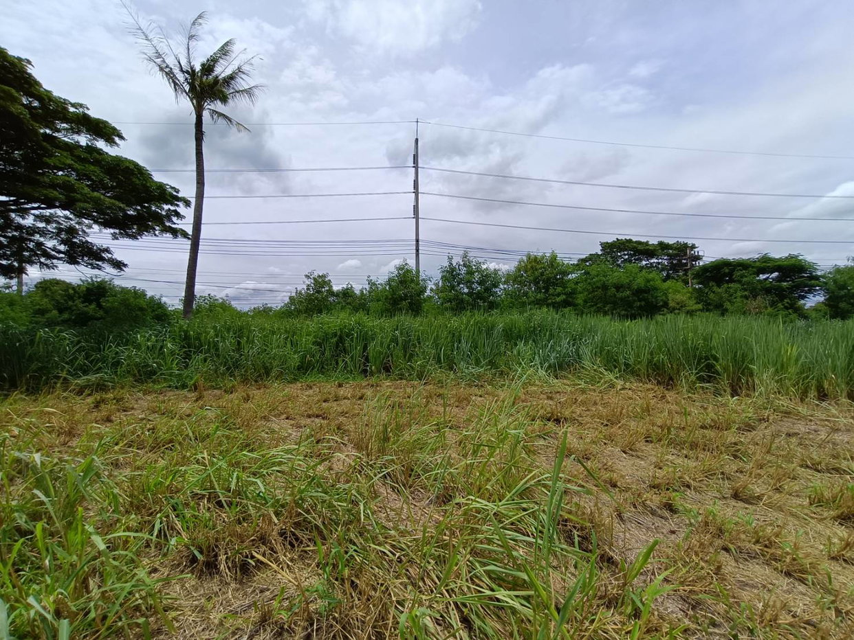 picture LAND 16204 Sq.w. Pak Chong Nakhon Ratchasima for 231.7M - 2/3
