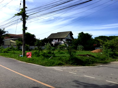 เช่าที่ดิน วัน แบงค็อก   : ให้เช่าที่ดินตำบลสันผักหวาน ใกล้แยกสะเมิง ปริมาณ 140 ตร.ว. ระยะสั้น/ระยะยาว 