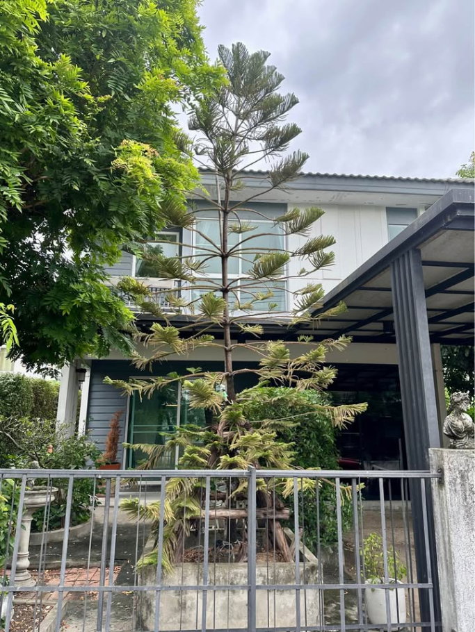 ขายบ้านเดี่ยว : 🔥 ขาย บ้านเดี่ยวสไตล์โมเดิร์น  Inizio Rangsit Klong 3 อินิซิโอ รังสิต คลอง 3 🌳 สภาพดี เพื่อนบ้านน่ารัก ใกล้แหล่งชุมชน เดินทางสะดวก 