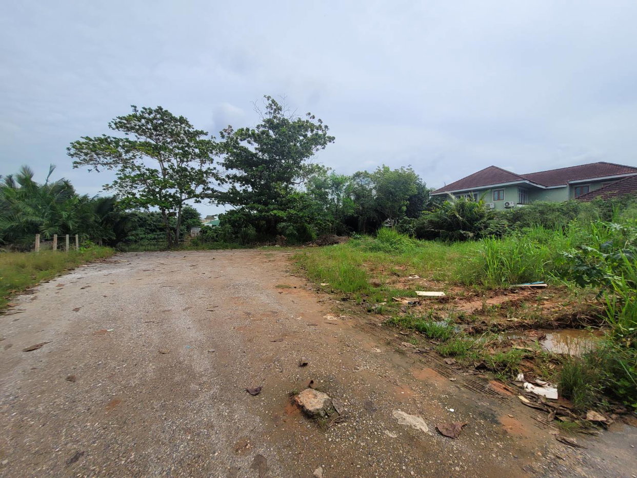 รูป ที่ดินเปล่า 242.5 ตร.วา มะขามเตี้ย สุราษฎร์ธานี เมืองสุราษฎร์ธานี สุราษฎร์ธานี 4.7M - รูปที่ 2/3