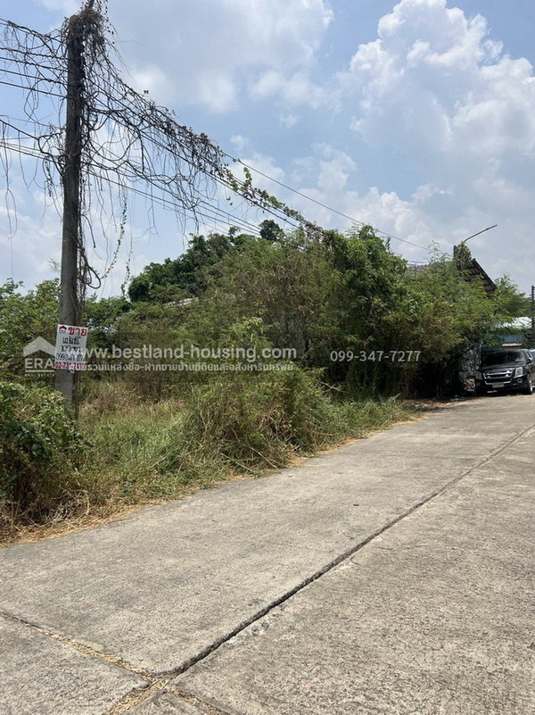 รูป ขายที่ดินเลียบวารี69 เท่าประเมินฯ แขวงโคกแฝด เขตหนองจอก เข้าซอย850เมตรเหมาะสำหรับสร้างบ้าน ทำโกดัง คลังสินค้า หรือลงทุน - รูปที่ 9/9