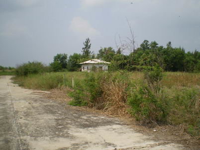 รูป ที่ดินเปล่า 85.4 ตร.วา หนองเสือ หนองเสือ ปทุมธานี - รูปที่ 13/16