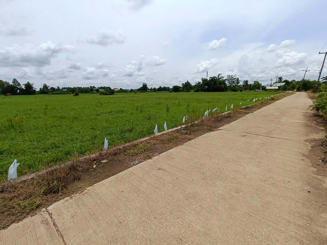 picture LAND 5540 Sq.w. Phichai Uttaradit for 2.6M - 2/2