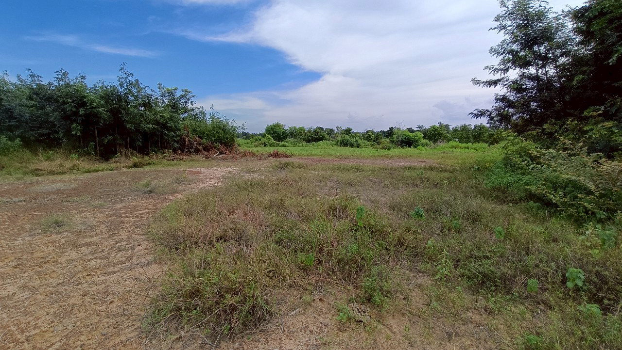 รูป ที่ดินเปล่า 2000 ตร.วา บรบือ มหาสารคาม บรบือ มหาสารคาม 2.2M - รูปที่ 3/4