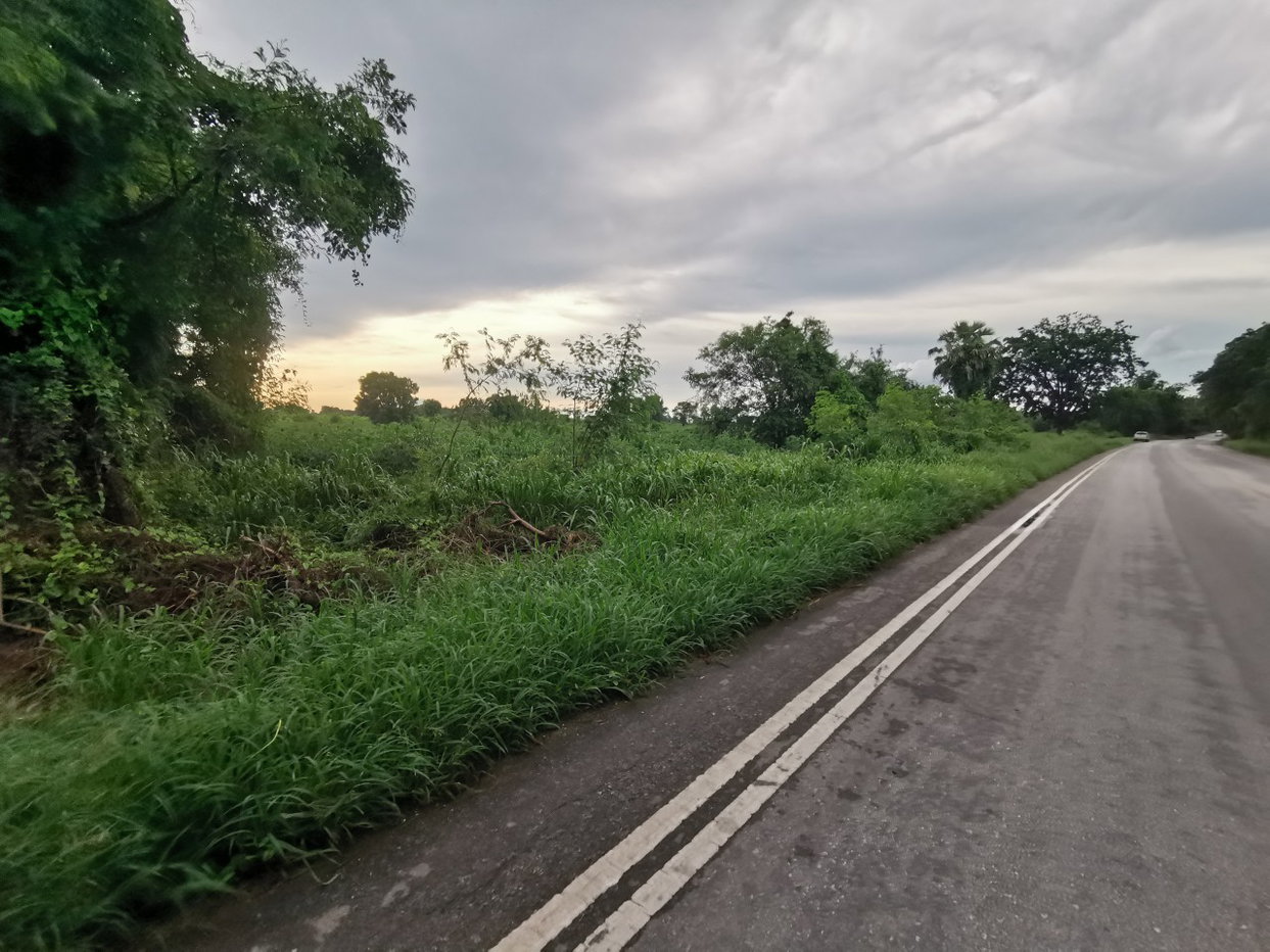 picture LAND 756 Sq.w. Chatturat Chaiyaphum for 866,000 - 2/3