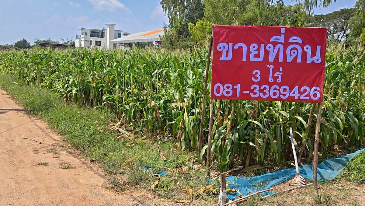 รูป Call : 080-743-1573 ขายที่ดินแปลงสวย ท่าม่วง กาญจนบุรี เหมาะลงทุน ใกล้ถนนใหญ่ เข้า-ออกได้หลายทาง เดินทางสะดวก เพียง 1 ชั่วโมงกว่าจากกรุงเทพฯ - รูปที่ 2/10