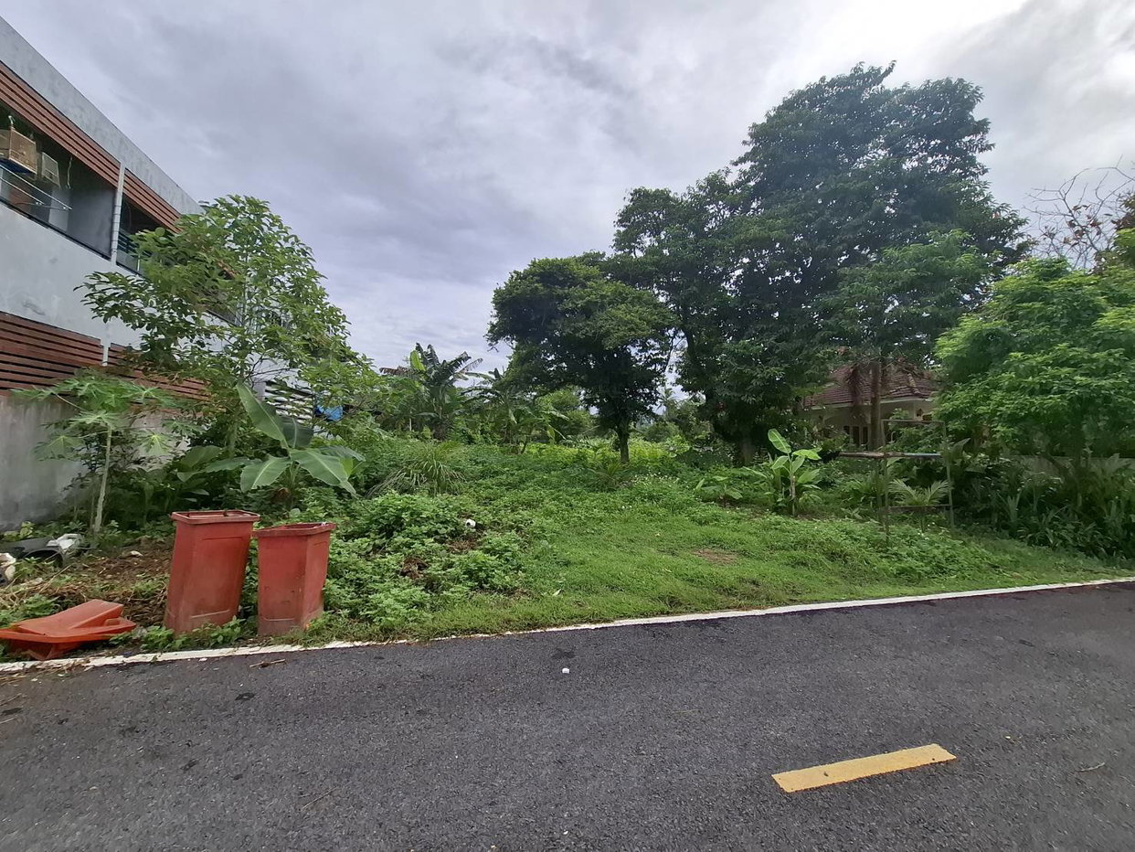 รูป ที่ดินเปล่า 130 ตร.วา ทุ่งสง ทุ่งสง นครศรีธรรมราช 1.6M - รูปที่ 2/3