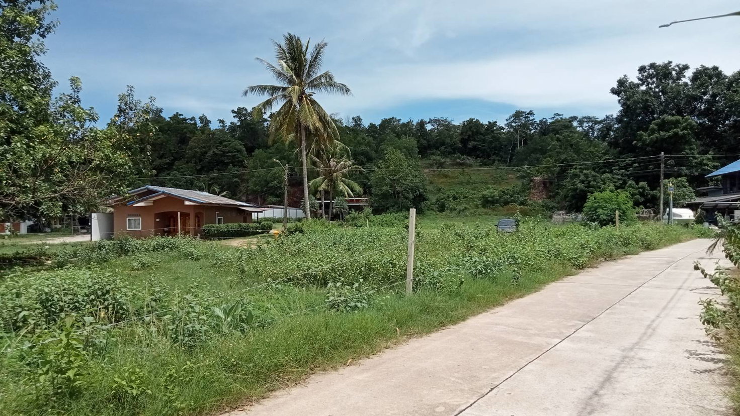 รูป ที่ดินเปล่า 1087.8 ตร.วา ปะทิว ชุมพร ปะทิว ชุมพร 24.1M - รูปที่ 1/4