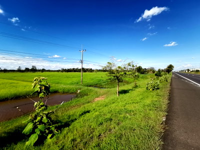 ที่ดิน พยัคฆภูมิพิสัย มหาสารคาม : ที่ดินเปล่า 2413 ตร.วา พยัคฆภูมิพิสัย พยัคฆภูมิพิสัย มหาสารคาม 3.5M