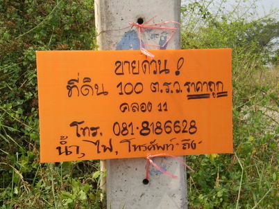 รูป ที่ดินเปล่า 85.4 ตร.วา หนองเสือ หนองเสือ ปทุมธานี - รูปที่ 11/16