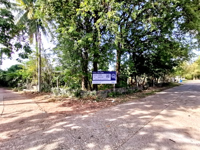 ที่ดิน ตระการพืชผล อุบลราชธานี : ที่ดินเปล่า 90.1 ตร.วา ตระการพืชผล ตระการพืชผล อุบลราชธานี 320,000