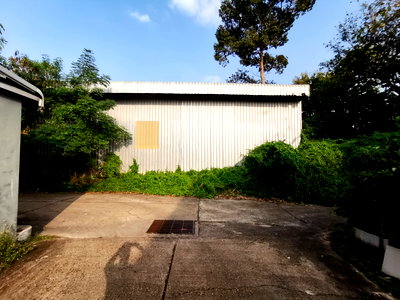 Factory for sale Muang Amnat Charoen Amnat Charoen : FACTORY 240 Sq.w. Muang Amnat Charoen Amnat Charoen for 3.5M