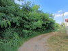 listing thumbnail image 2