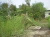 listing thumbnail image 7