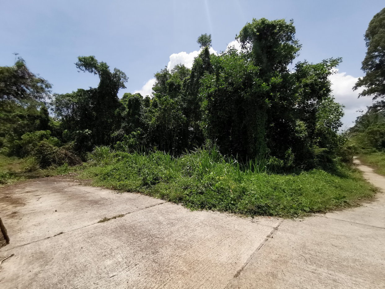 รูป ที่ดินเปล่า 2436 ตร.วา รัษฎา ภูเก็ต เมืองภูเก็ต ภูเก็ต - รูปที่ 2/4