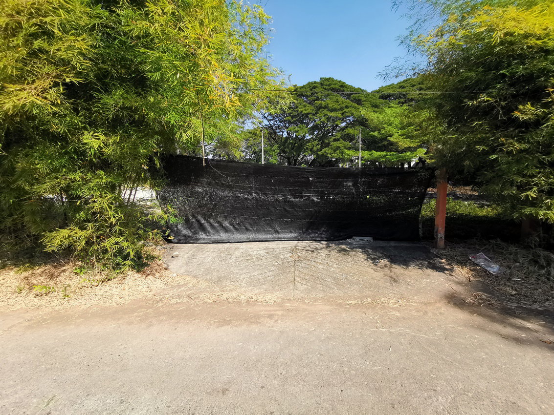 picture LAND 442 Sq.w. Muang Chiang Mai Chiang Mai for 29M - 2/3