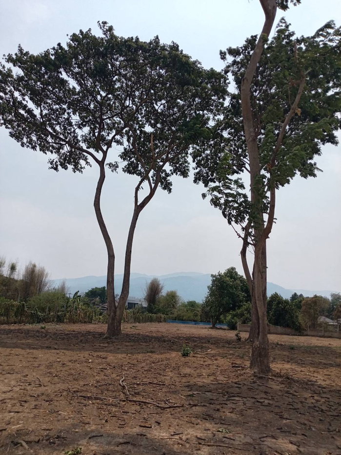 picture 🌟 Beautiful Large Land Plot for Sale – Rare Opportunity at This Price! 🌟 - 3/5