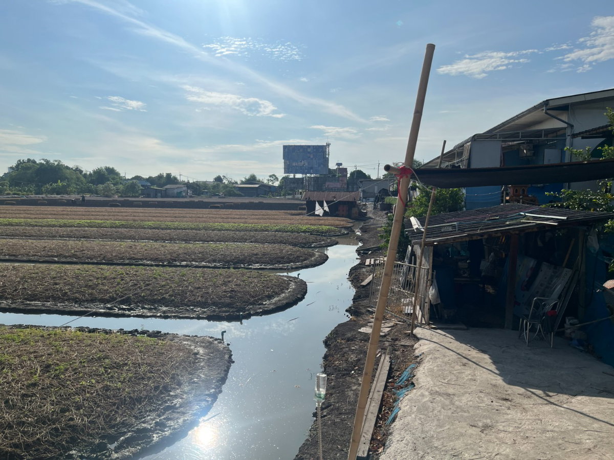รูป ขายที่ดินถนนบ้านกล้วยไทรน้อย บางบัวทอง นนทบุรี เนื้อที่ 10 ไร่ - รูปที่ 4/4