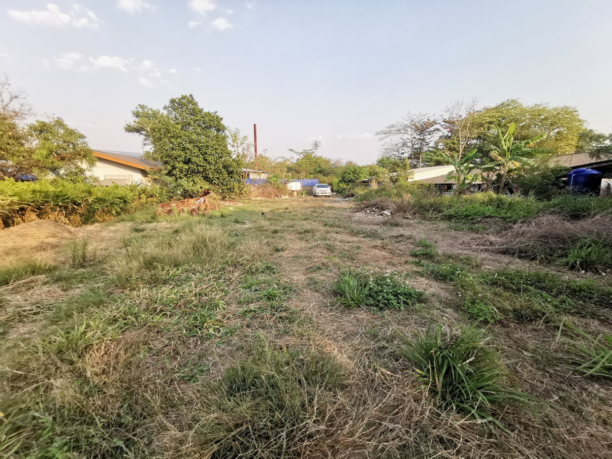 picture LAND 208 Sq.w. Watthana Nakhon Srakaeo for 516,000 - 2/3