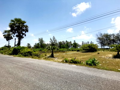 ที่ดิน ระโนด สงขลา : ที่ดินเปล่า 1059.8 ตร.วา ระโนด ระโนด สงขลา 1.9M