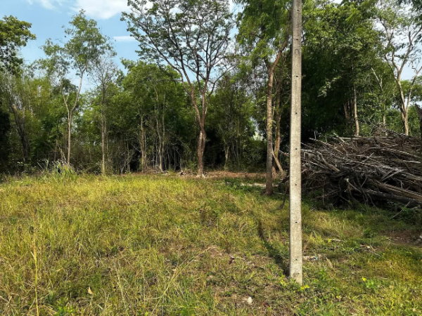 รูป ที่ดิน เขตเทศบาลเมืองอุทัยธานี ตำบลอุทัยใหม่ อำเภอเมือง จังหวัดอุทัยธานี - รูปที่ 7/8