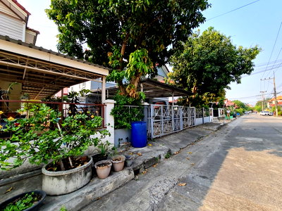 บ้านเดี่ยว สถาบันเทคโนโลยีนานาชาติสิรินธร (SIIT) มหาวิทยาลัยธรรมศาสตร์ : บ้านเดี่ยว 56 ตร.วา ดาวเรือง ปทุมธานี เมืองปทุมธานี ปทุมธานี 3.1M