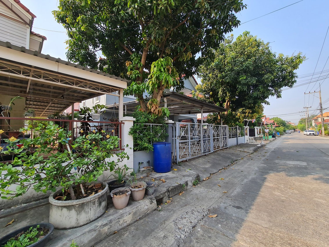 รูป บ้านเดี่ยว 56 ตร.วา ดาวเรือง ปทุมธานี เมืองปทุมธานี ปทุมธานี 3.1M - รูปที่ 1/2