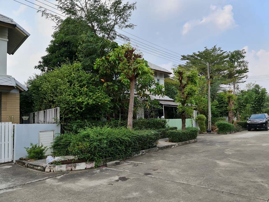 รูป บ้านเดี่ยว 66.4 ตร.วา สิริวลัย ธัญบุรี ธัญบุรี ปทุมธานี 3.3M - รูปที่ 1/2