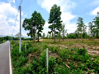 Land for sale Mae Rim Chiang Mai : 📍 Prime Development Land near Prem International School – Mae Rim, Chiang Mai
