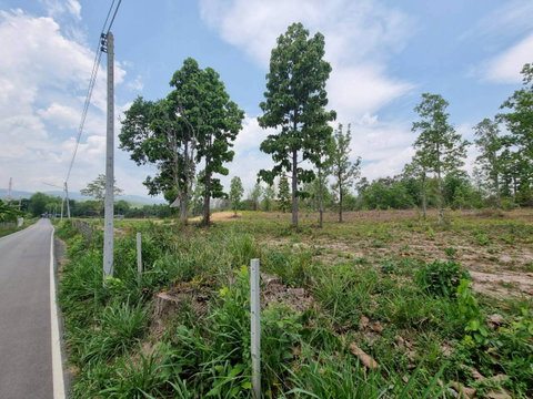 📍 Prime Development Land near Prem International School – Mae Rim, Chiang Mai