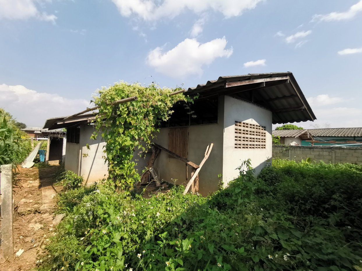 รูป บ้านเดี่ยว 127.5 ตร.วา ฝาง ฝาง เชียงใหม่ 727,000 - รูปที่ 6/8