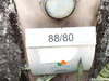 listing thumbnail image 29