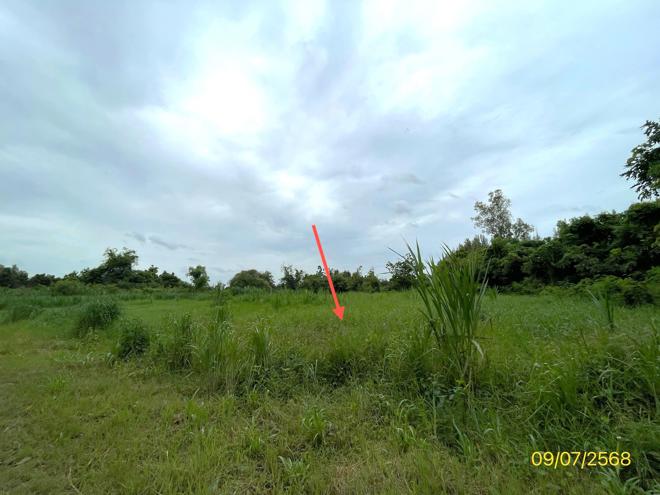 picture LAND 7131 Sq.w. Pak Tho Ratchburi for 3.2M - 8/24