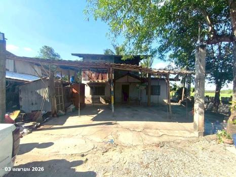 รูป บ้านเดี่ยว 117 ตร.วา หันคา ชัยนาท 461,000 - รูปที่ 21/24