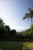 listing thumbnail image 40