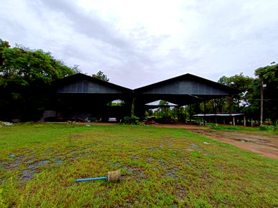 บ้านเดี่ยว ขอนแก่น : บ้านเดี่ยว 1200 ตร.วา หนองสองห้อง หนองสองห้อง ขอนแก่น 3.3M