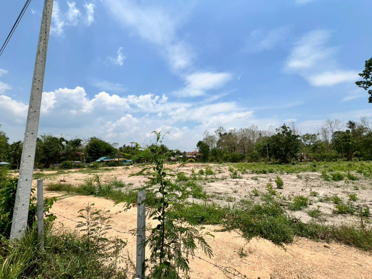 picture 📍 Prime Development Land near Prem International School – Mae Rim, Chiang Mai - 2/9