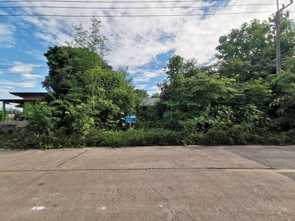 picture HOME 792.8 Sq.w. Fang Chiang Mai for 919,000 - 1/2