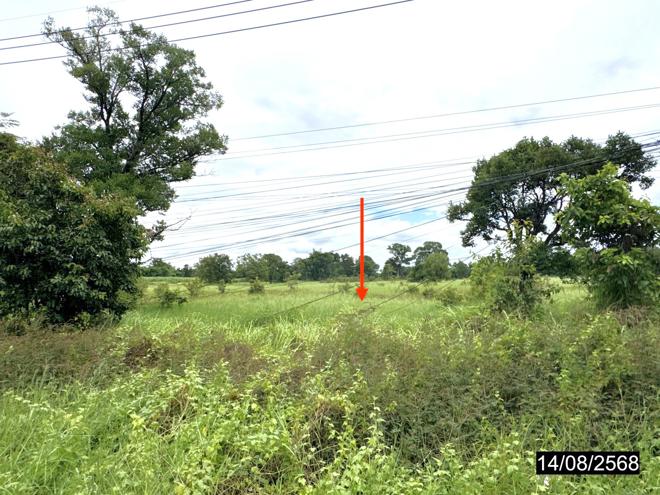 picture LAND 7685 Sq.w. Muang Muddahan Mukdahan for 123M - 7/22