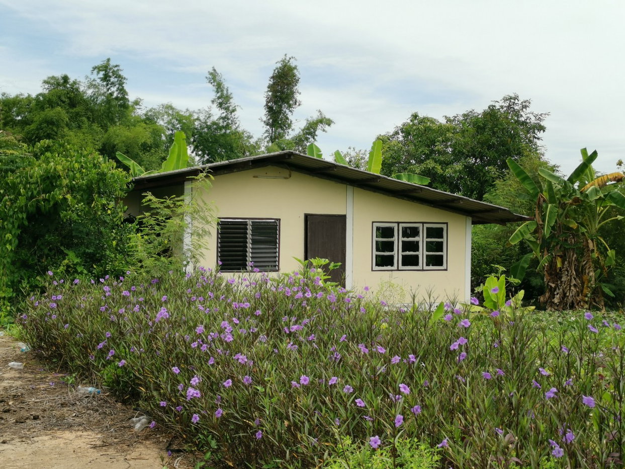 picture HOME 751 Sq.w. Muang Surin Surin for 3.2M - 3/4